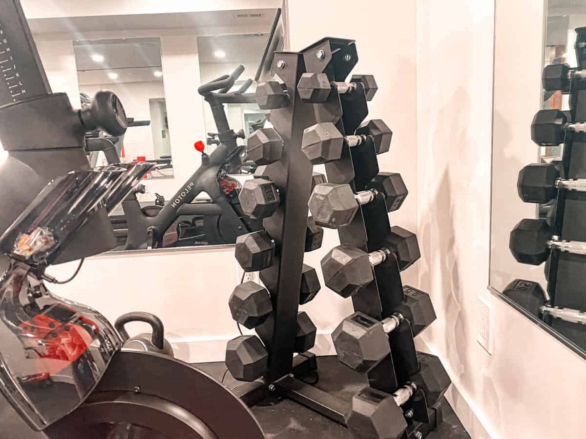 Do you Need Peloton Weights to get the Best Workout?
